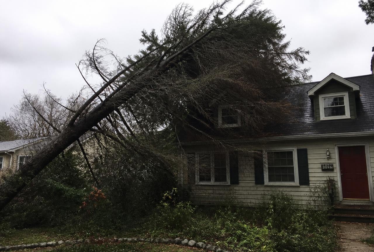 Overgrown hazardous tree leaning against a house before service